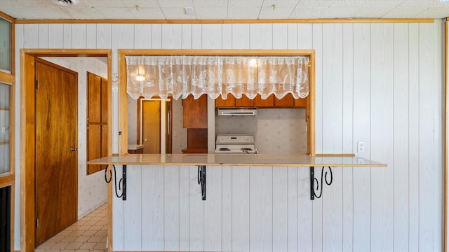 2111 W 20th Ave, Kennewick, WA 99337 - kitchen with range, under cabinet range hood, and wood walls