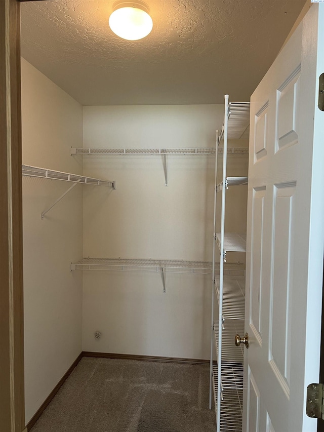 walk in closet featuring carpet