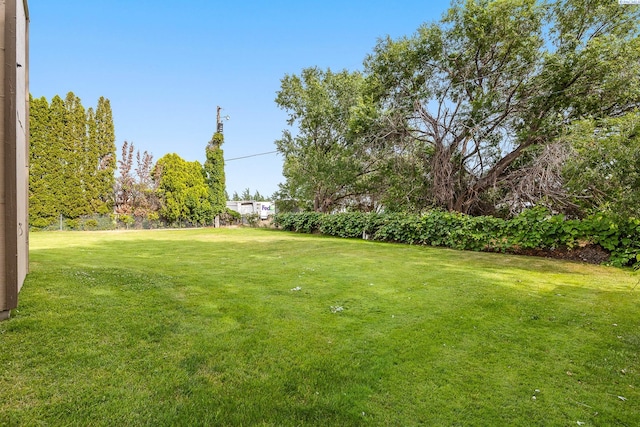 5820 W Park Pl, Pasco, WA 99301 - view of grassy yard