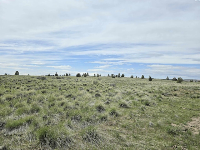 183 Middle Rd, Bickleton, WA 99322