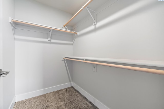 6435 W 30th Pl, Kennewick, WA 99338 - spacious closet with dark colored carpet