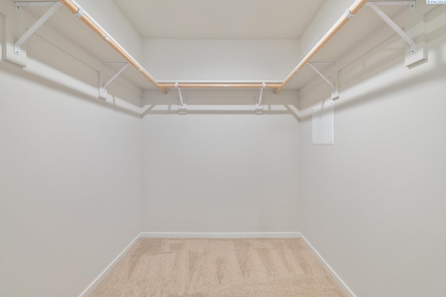 704 S Zeelar St, Kennewick, WA 99336 - spacious closet featuring carpet