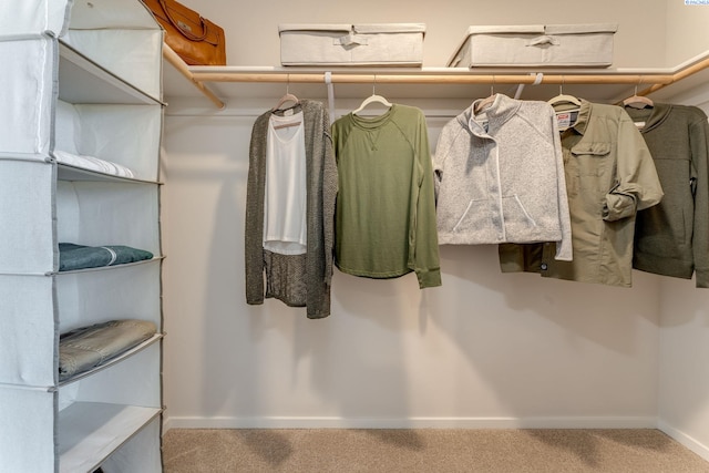 spacious closet with carpet