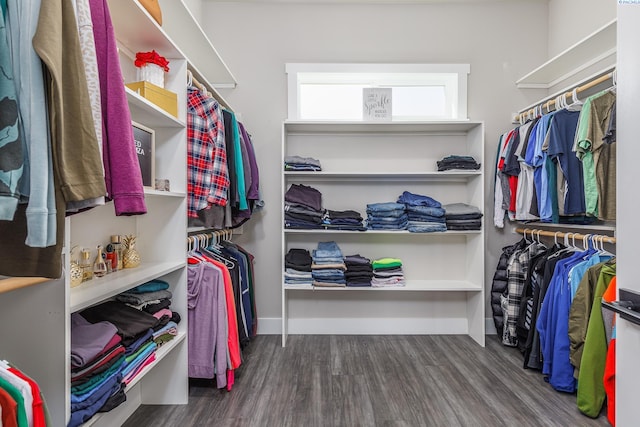 walk in closet featuring wood finished floors