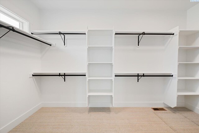 670 Cortona Unit 39, Richland, WA 99352 - spacious closet featuring carpet floors