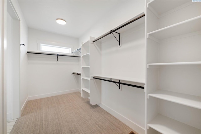 670 Cortona Unit 39, Richland, WA 99352 - spacious closet with light carpet