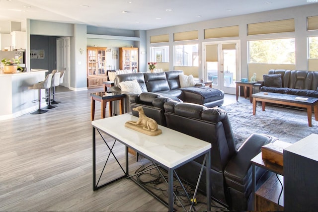 living room featuring plenty of natural light and light hardwood / wood-style floors