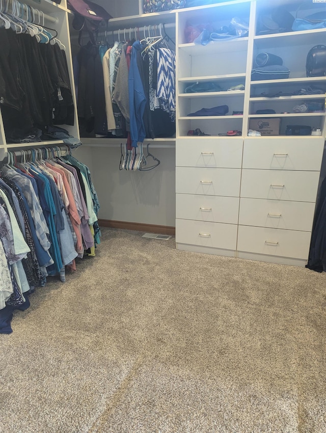 spacious closet featuring carpet