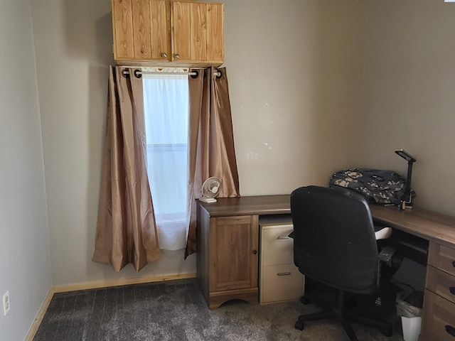 132 2nd St, Diamond, WA 99111 - office featuring carpet floors and baseboards