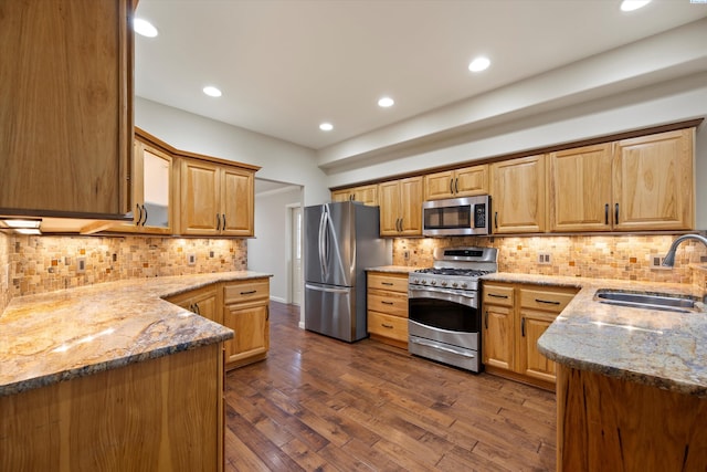 kitchen with dark hardwood / wood-style flooring, sink, light stone countertops, and appliances with stainless steel finishes