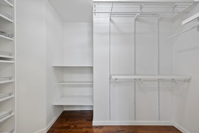 walk in closet featuring dark hardwood / wood-style floors