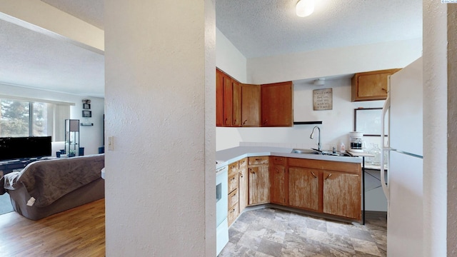 1735 NE Wheatland Dr, Pullman, WA 99163 - kitchen featuring freestanding refrigerator, electric range oven, a sink, a textured ceiling, and a textured wall