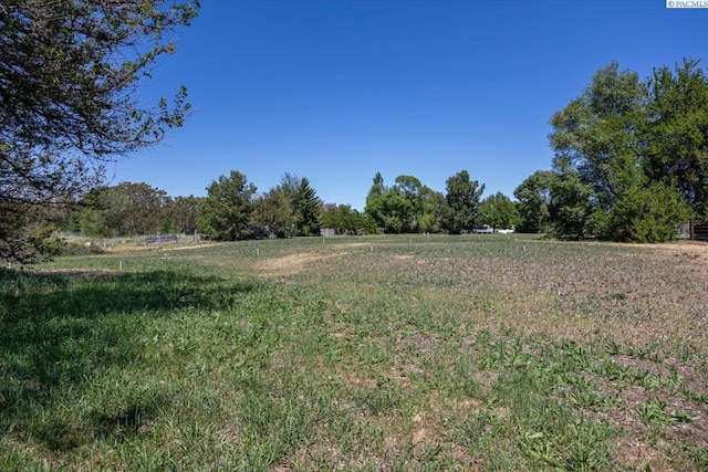 805 Babs Ave, Benton City, WA 99320 - view of yard with a view of countryside