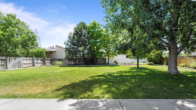 4745 W Robin Ct, West Richland, WA 99353 - view of fenced backyard