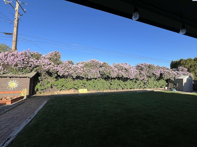 508 W Concord Ave, Grandview, WA 98930 - view of green lawn featuring a storage shed