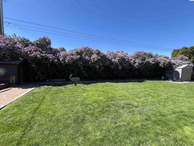 508 W Concord Ave, Grandview, WA 98930 - view of grassy yard with a storage shed