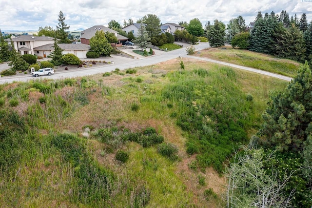 1540 SW Wadleigh Dr, Pullman, WA 99163