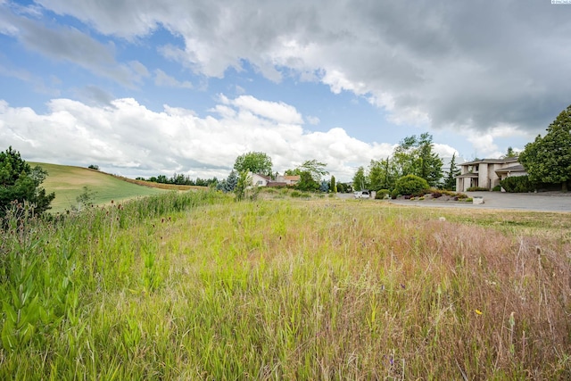 1540 SW Wadleigh Dr, Pullman, WA 99163