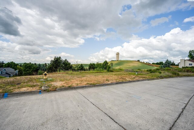 1540 SW Wadleigh Dr, Pullman, WA 99163