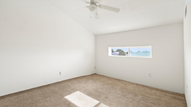 7039 Rd 76 N, Pasco, WA 99301 - photo 15