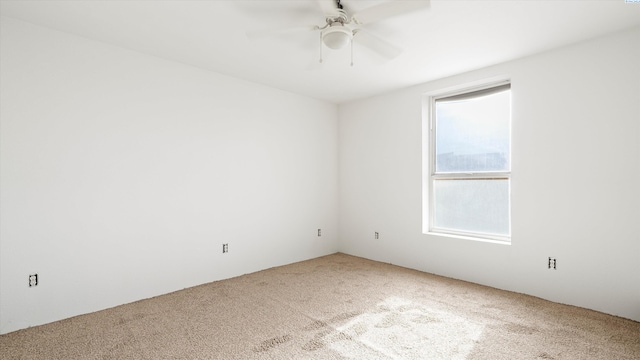 7039 Rd 76 N, Pasco, WA 99301 - photo 10