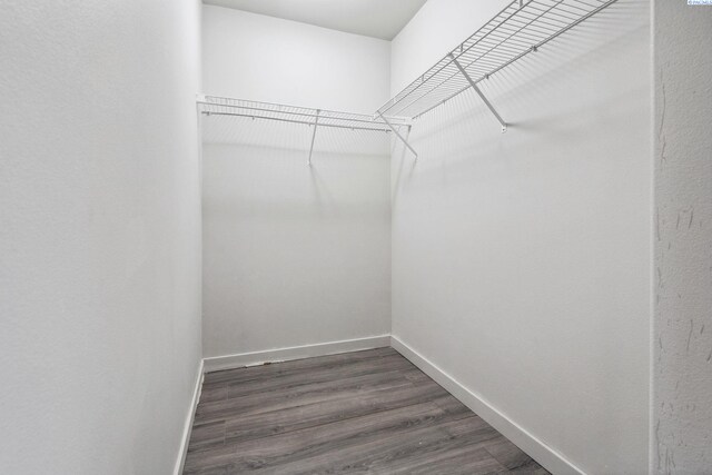 407 Dawson Ln, Pasco, WA 99301 - walk in closet with dark wood-type flooring