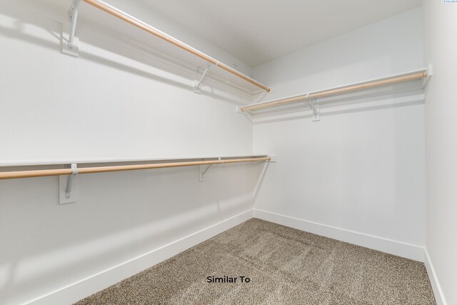2945 S Penn St, Kennewick, WA 99338 - walk in closet with carpet floors
