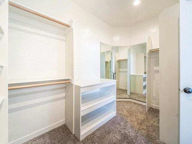5593 S Lyle Pl, Kennewick, WA 99337 - walk in closet featuring carpet flooring