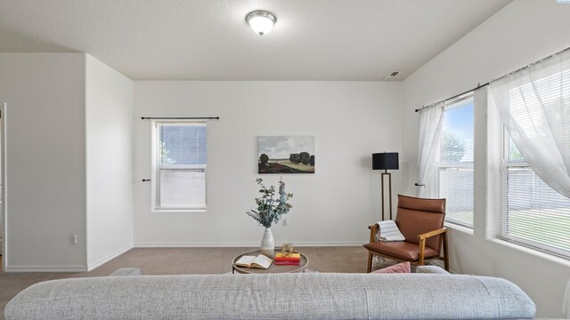 4911 Antigua Dr, Pasco, WA 93301 - photo 10