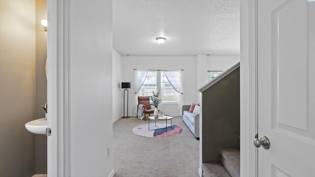 4911 Antigua Dr, Pasco, WA 93301 - photo 4
