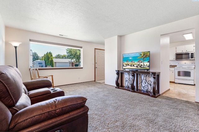 627 N Williams St, Kennewick, WA 99336 - living room featuring light colored carpet and a textured ceiling
