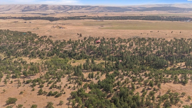 94 Big Springs Rd, Goldendale, WA 98960 - photo 12