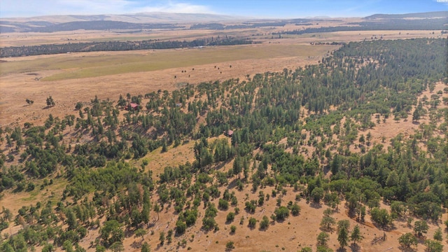 94 Big Springs Rd, Goldendale, WA 98960 - photo 13