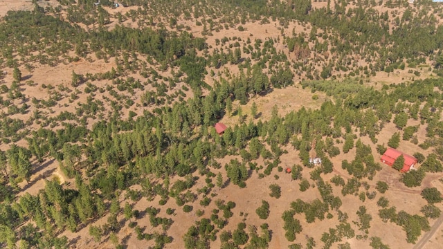 94 Big Springs Rd, Goldendale, WA 98960 - photo 9