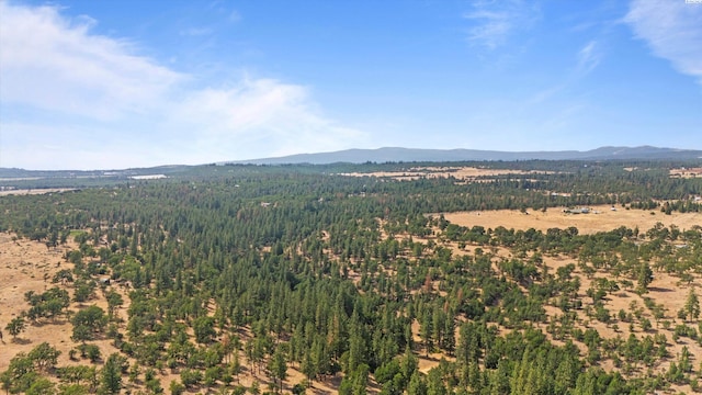 94 Big Springs Rd, Goldendale, WA 98960 - photo 16