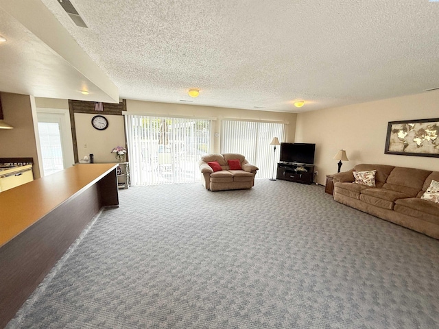 2912 W Hood Ave Unit D104, Kennewick, WA 99336 - living room featuring carpet floors and a textured ceiling