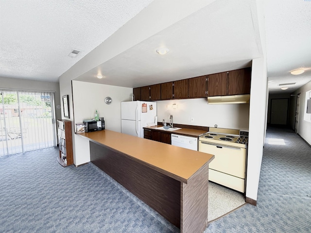 2912 W Hood Ave Unit D104, Kennewick, WA 99336 - kitchen featuring white appliances, light carpet, under cabinet range hood, dark brown cabinets, and a textured ceiling