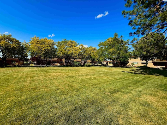2912 W Hood Ave Unit D104, Kennewick, WA 99336 - view of green lawn