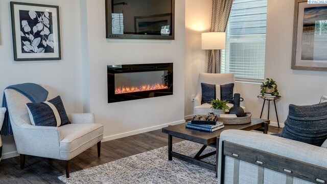 living area featuring dark wood-type flooring