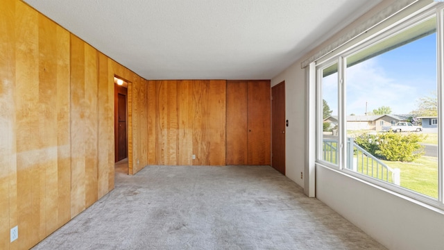 carpeted spare room featuring wooden walls and a healthy amount of sunlight