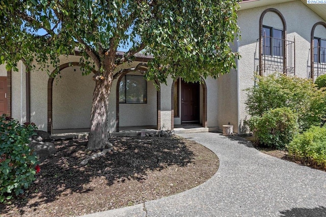 1919 S Newport St, Kennewick, WA 99337 - photo 3