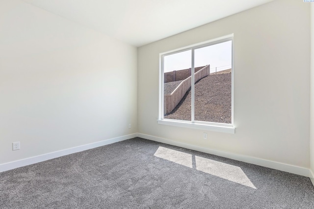 4291 Cowlitz Blvd, Richland, WA 99352 - photo 19