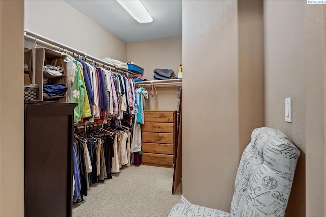 9008 W Skagit Ave, Kennewick, WA 99336 - photo 29