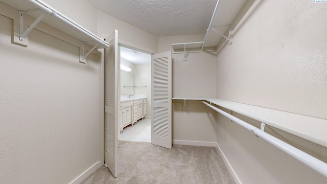 510 Hogan Ct, Richland, WA 99352 - photo 22
