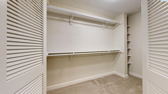 510 Hogan Ct, Richland, WA 99352 - photo 20