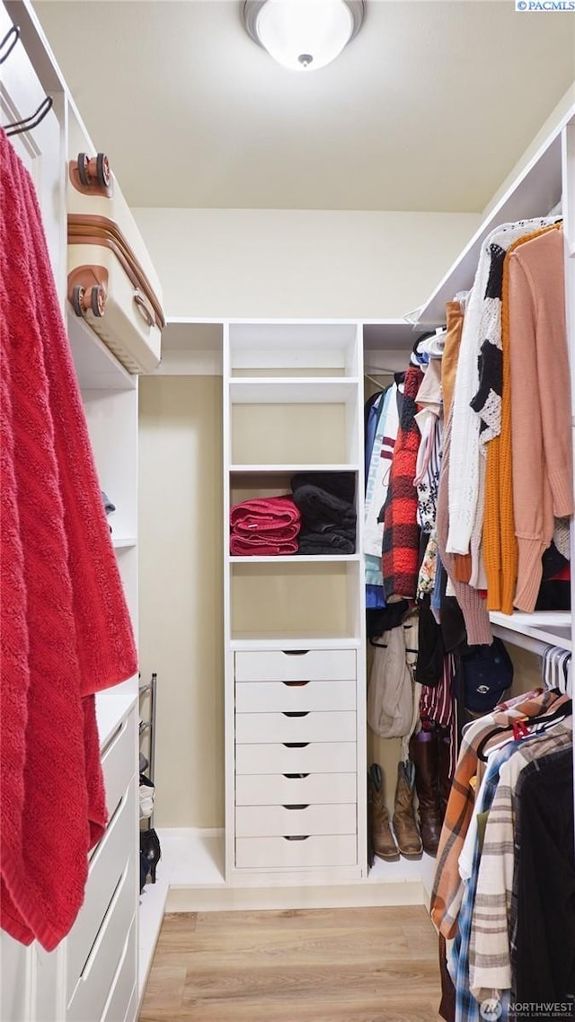 walk in closet with light hardwood / wood-style flooring