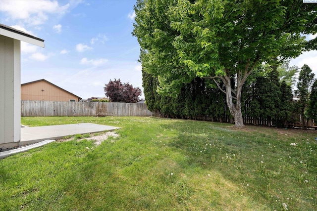 view of yard featuring a fenced backyard and a patio