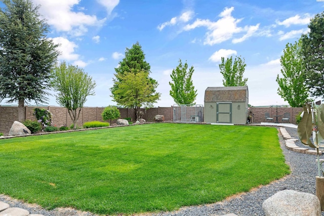 view of yard featuring a storage shed