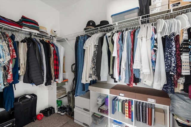 walk in closet with carpet floors