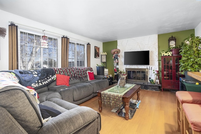 living room with hardwood / wood-style flooring and a fireplace